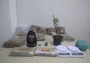 Entorpecentes recolhidos pela Romu