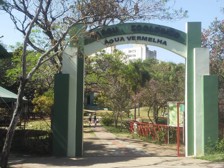 Oficina gratuita de plantio de frutíferas em vasos é oferecida no Parque da Água Vermelha