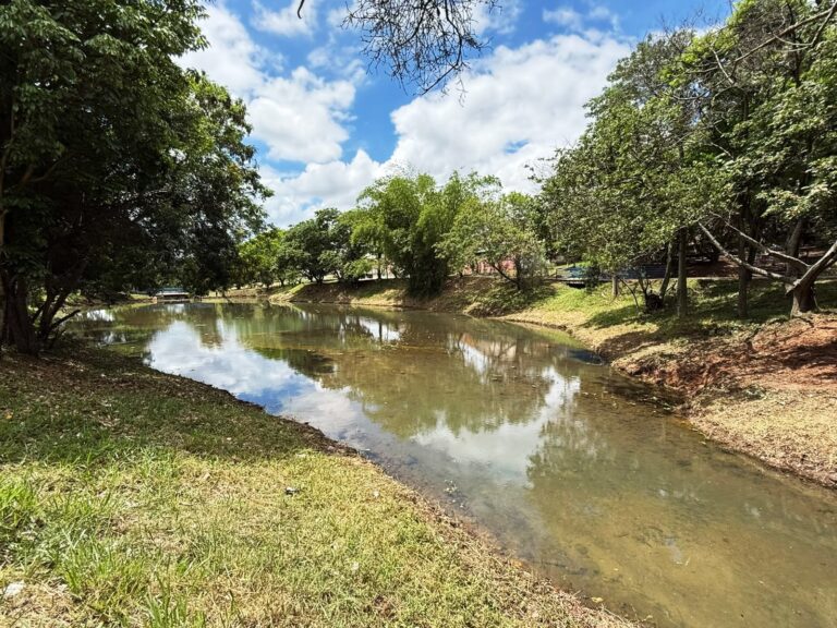 Saae/Sorocaba conclui limpeza de lago no Parque da Vila Formosa
