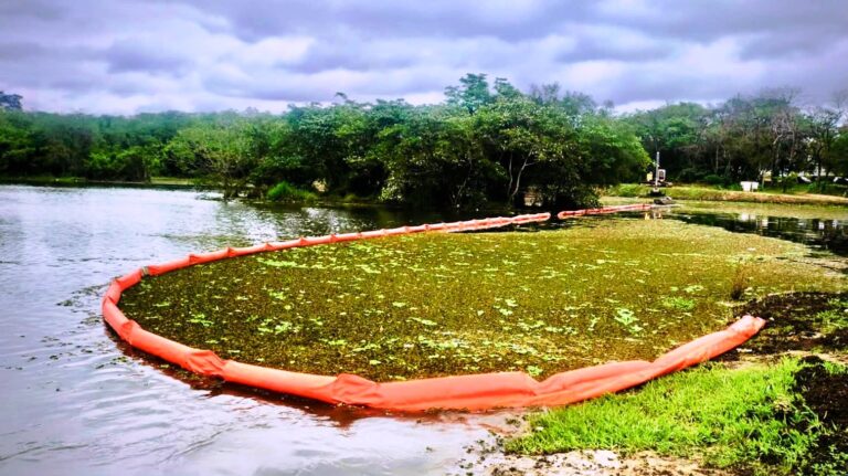 Saae/Sorocaba finaliza limpeza e remoção de plantas aquáticas em lago do Parque Vitória Régia
