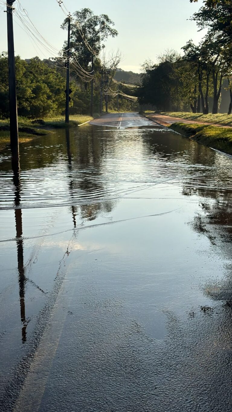 Avenida Quinze de Agosto temporariamente interditada neste domingo (4)