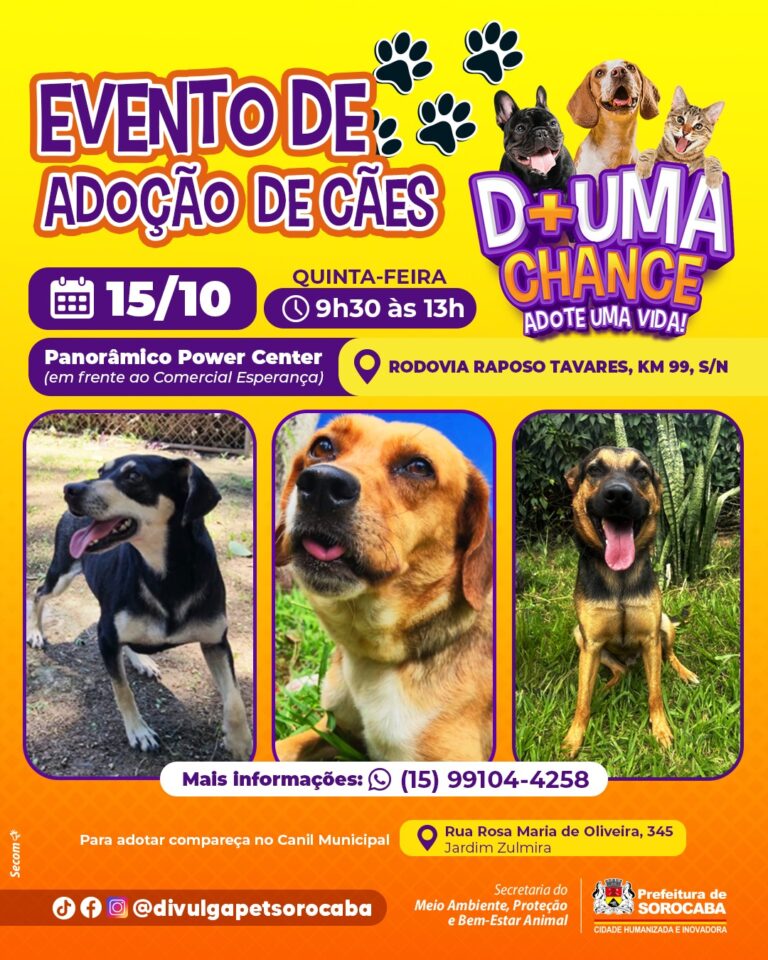 Panorâmico Power Center recebe evento de adoção de cães do Canil Municipal de Sorocaba nesta quinta-feira (15)