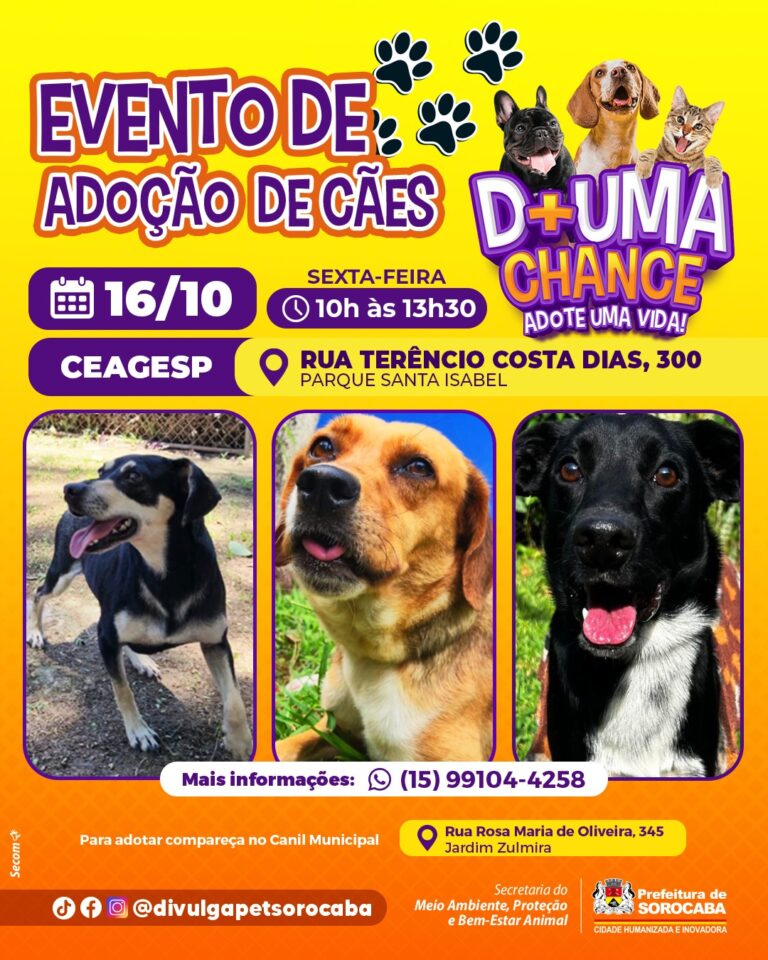 CEAGESP recebe evento de adoção de cães do Canil Municipal de Sorocaba nesta sexta (16)