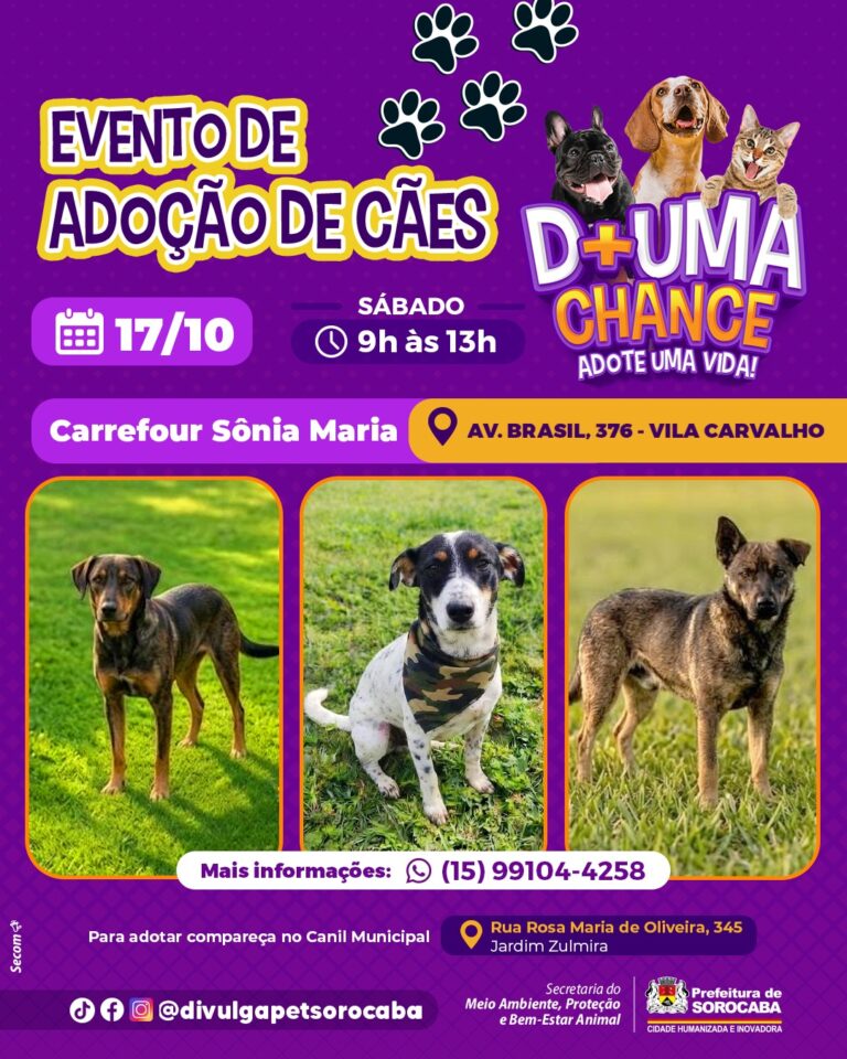 Carrefour Sônia Maria recebe evento de adoção de cães do Canil Municipal neste sábado (17)