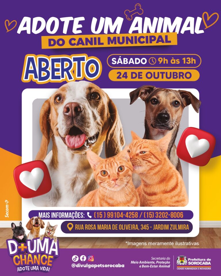 Canil Municipal de Sorocaba é aberto para adoção responsável de cães e gatos no dia 24 de outubro