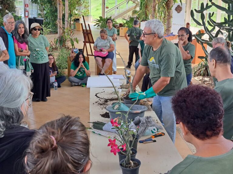 Oficina no Jardim Botânico de Sorocaba apresenta passo a passo de enxertia na rosa-do-deserto